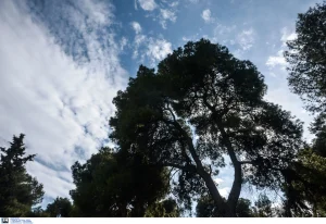 Αίθριος ο καιρός σήμερα Παρασκευή – Έως 35 βαθμούς η θερμοκρασία